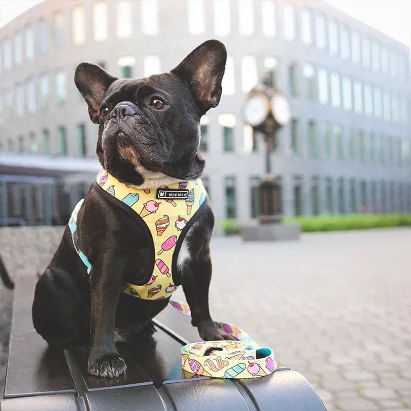 Harnais de chien bulldog français harnais imprimé anglais bulldog frenchie réversible harnais chiot petit chiens gilet pour entraînement à marche