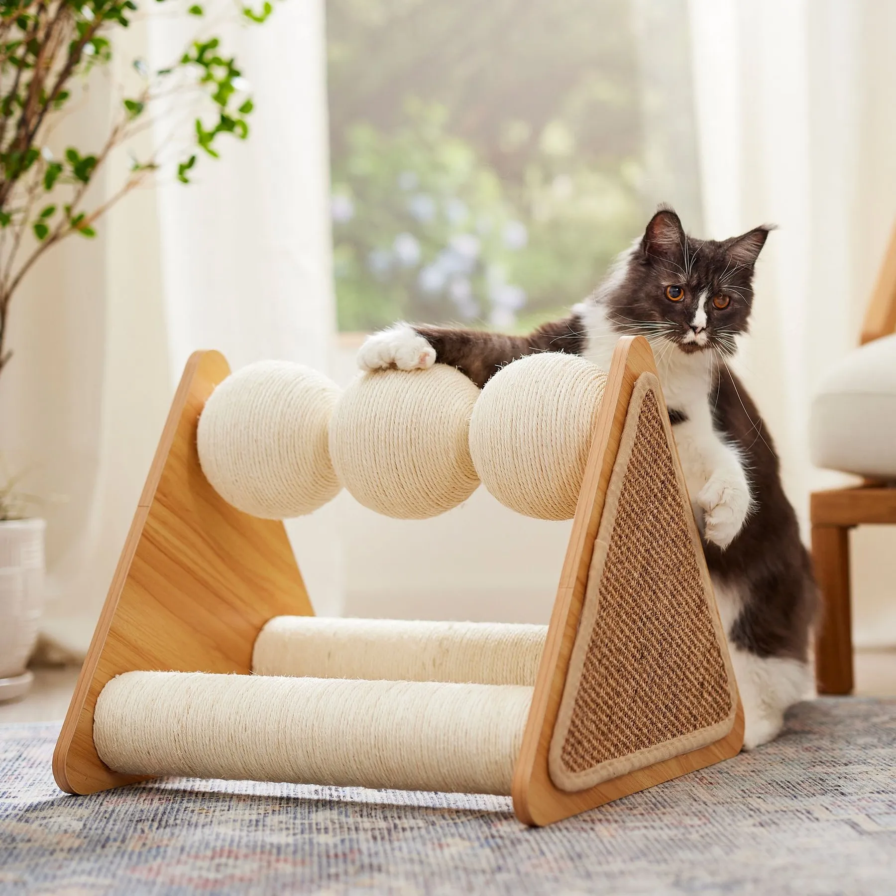 Frisco Cat Scratching Post with 3 Sisal Scratching Posts and Engineered Wood  Frame, 19.5 Height from Dhgate Cat Condo - price 52.69