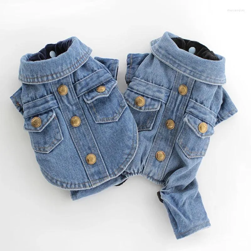 Vêtements pour chiens petits vêtements jeans manteau automne vestime pour animaux de compagnie hiver