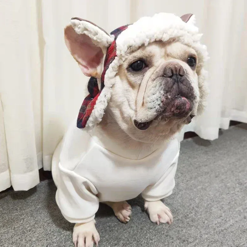 Caps Winter French Bulldog Hut warme Haustierhundkappen Pudel maltese Mops walisischen Corgi Shiba Inu Hund Kopfbedeckung Dropshipping