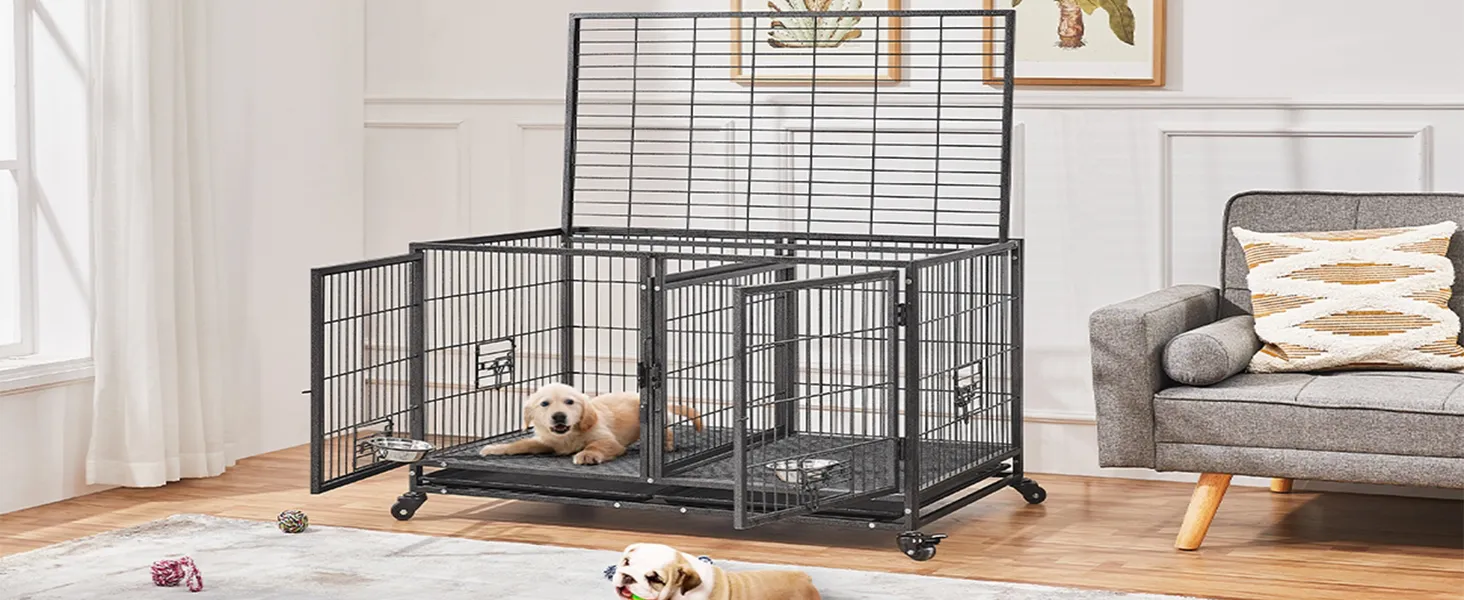 Dog Kennel Dish Dogtv Dog Cage Large Dogs Large Dog Crate