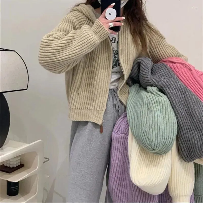 Women's Knits Autumn Casual Knitted Cardigan Women Korean Chic Solid Long Sleeve Zipper Sweater Fashion All Match Preppy O Neck Outwear