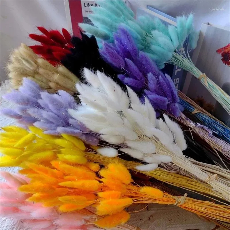 Decorative Flowers Natural Dried Tail Grass 110-120pcs Lagurus Ovatus For Boho Decor Flower Arrangements Wedding Home