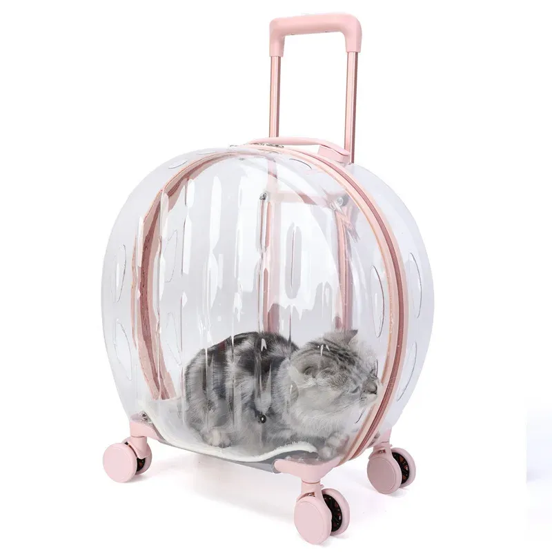 Luggage Madasa de mascotas Rueda universal transparente Carrera de gran capacidad Bolsa de gato Impermeable Pierro de perros Equipaje portátil transpirable