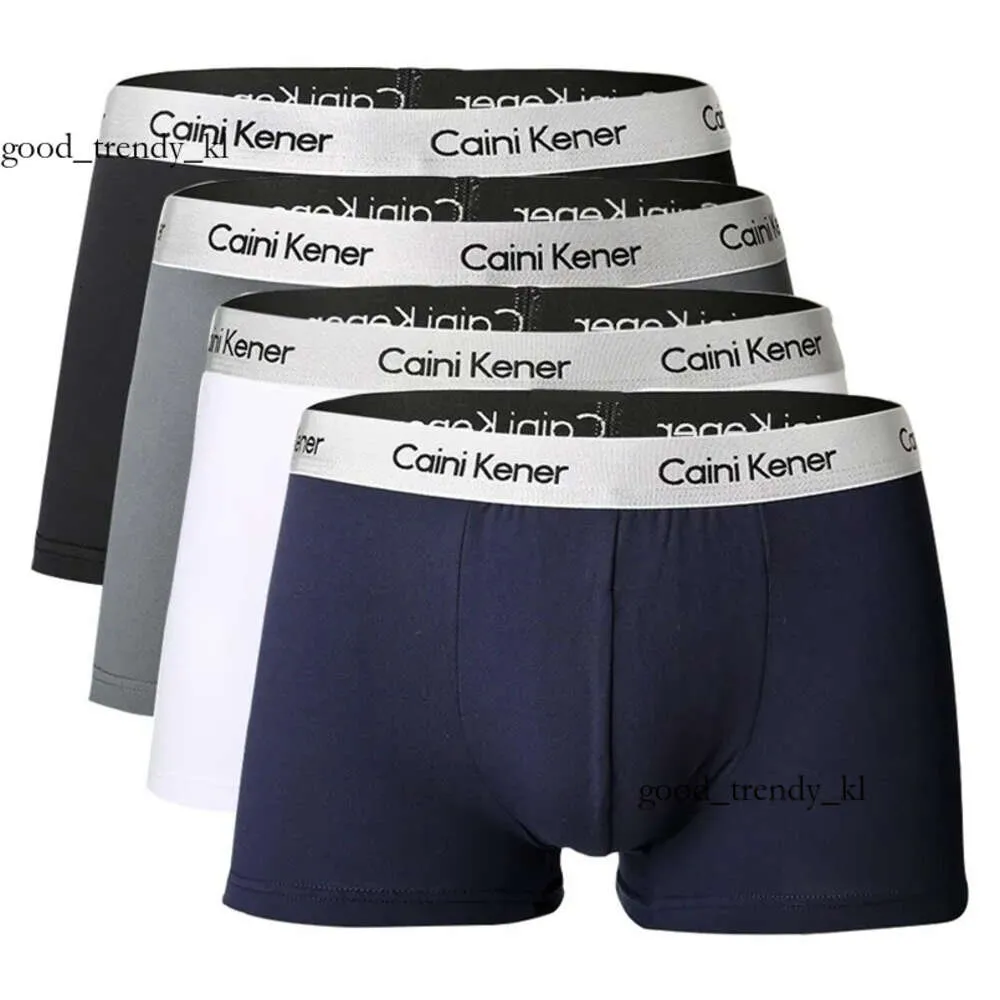 Desinger Underpants Men Boxers Man Short Calvins Calvins Board confortable Boîte Belle culotte solide 600