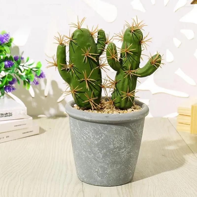 Fleurs décoratives artificielles succulentes durables largement utilisent une fausse simulation de plante en casquette simple de jardin cactus