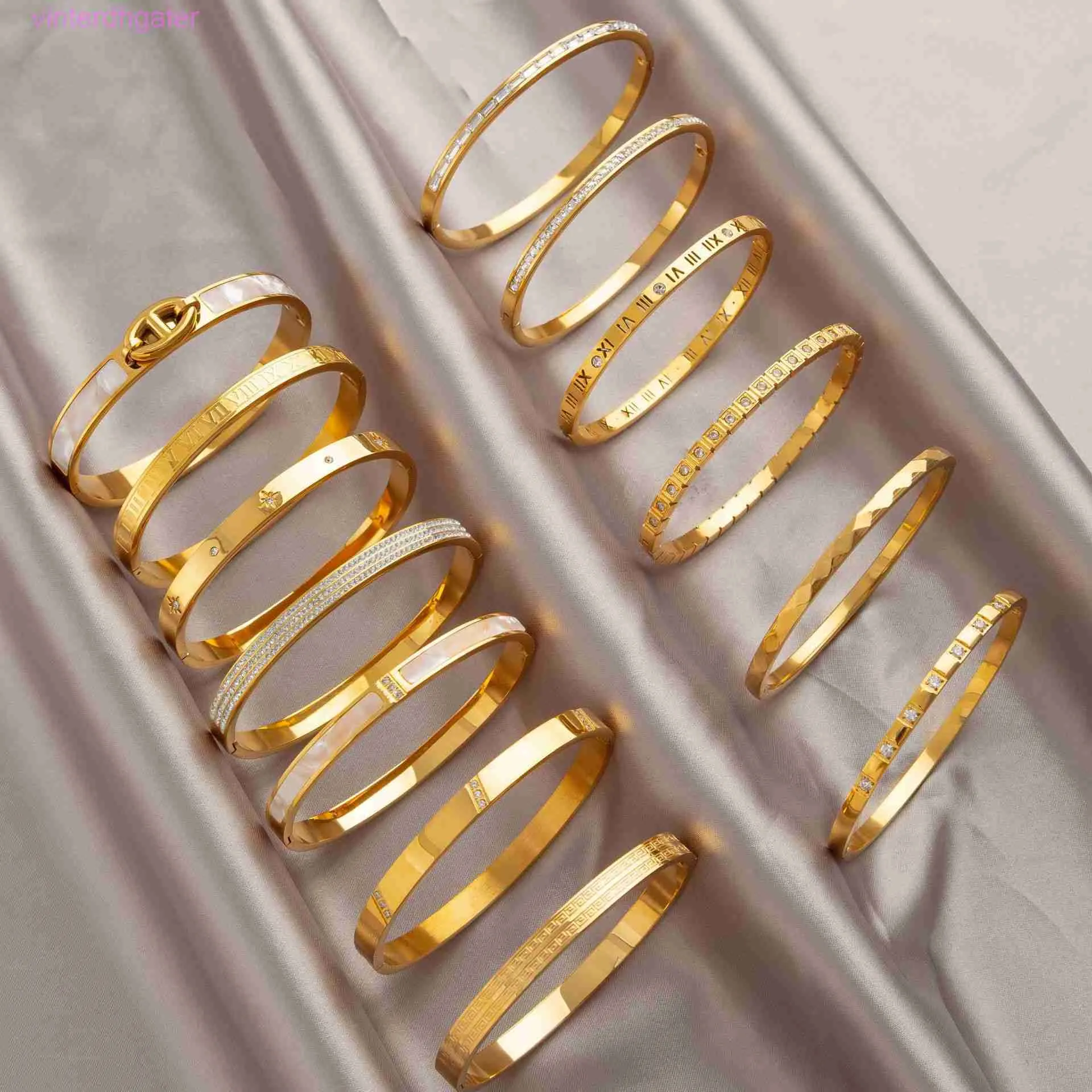 High-end luxe bangle geavanceerde gouden titanium stalen armband met zirkoon en diamant voor vrouwen klein ontwerp kleurloze luxe voortreffelijke exquise handwerk