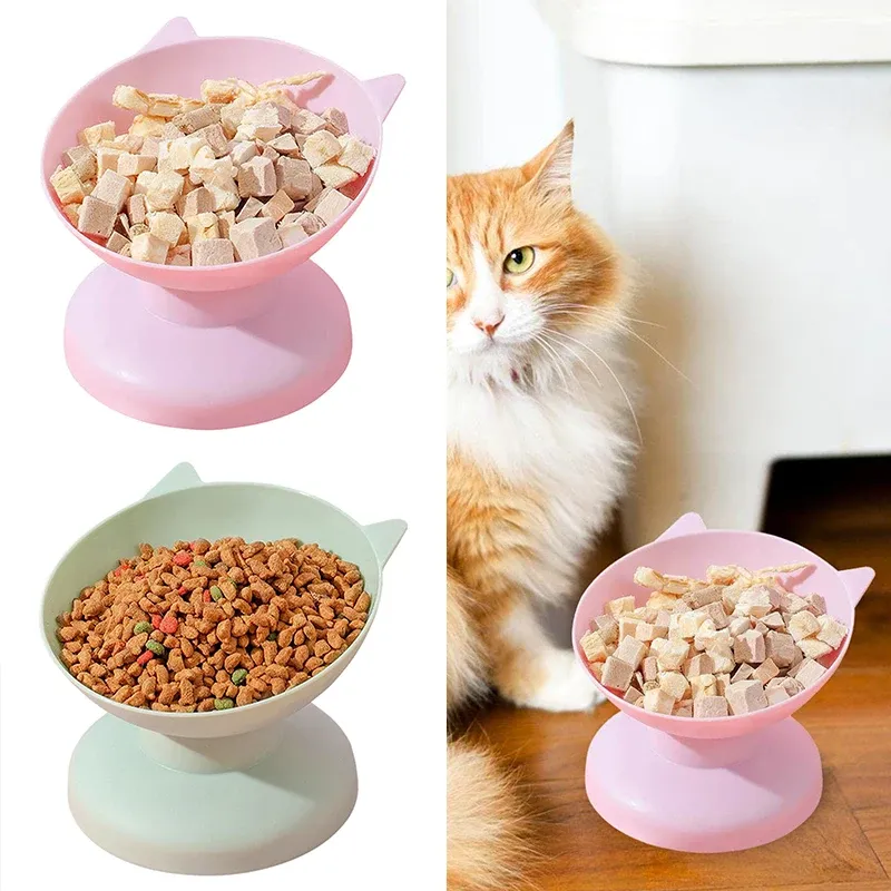 Supplies Tilted Haut Cat Bowl Plastique Cat Bol de chiens Cat Alime anti-vomissements pour animaux de compagnie Falage d'eau surélevée Bol de chiens accessoires d'animaux