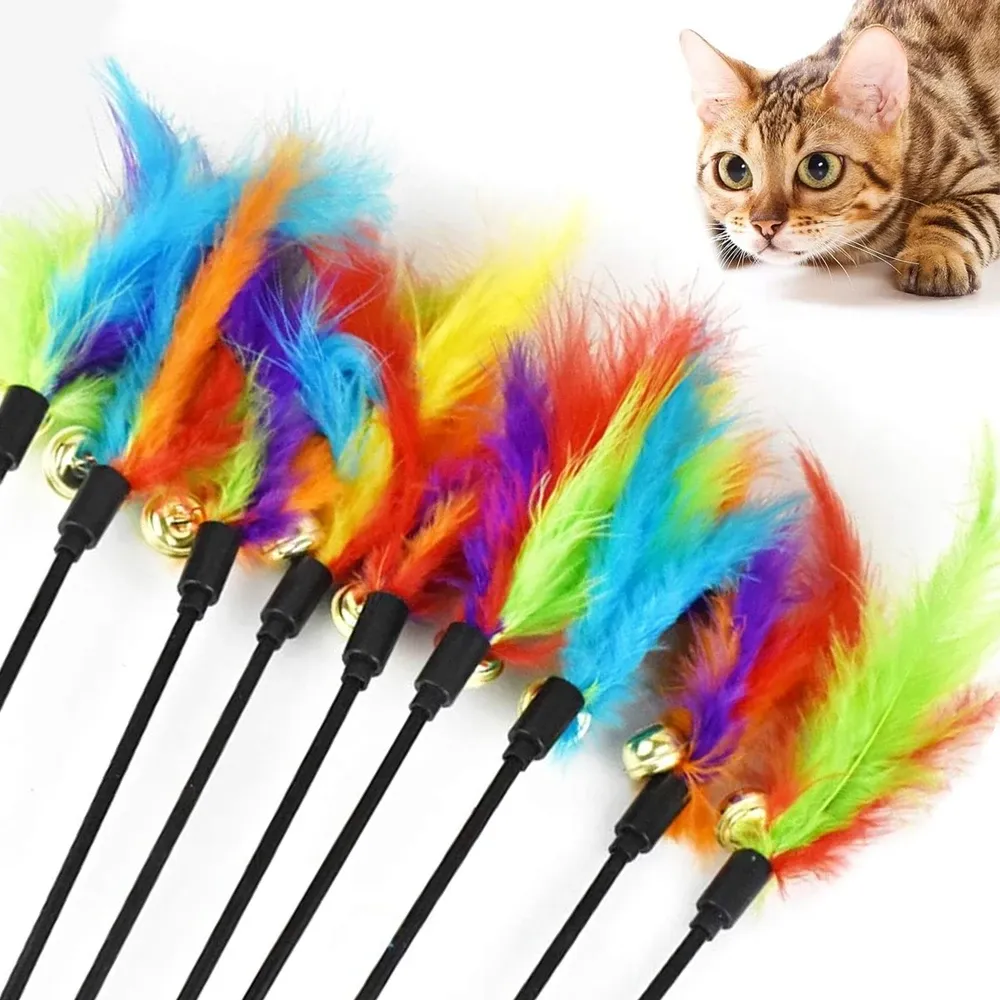 Giocattoli 5pcs Feather Cat Teaser Toys for Cat Interactive Feather Wands Toy Funny Pet Cat Stick Cat Kitten Wand Bell Bell Toy Color Random Color