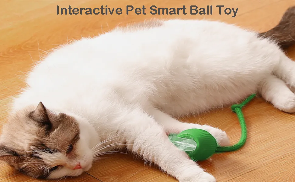 Interactive Smart Pet Toys for Cats & Dogs - Mental Stimulation & Enrichment