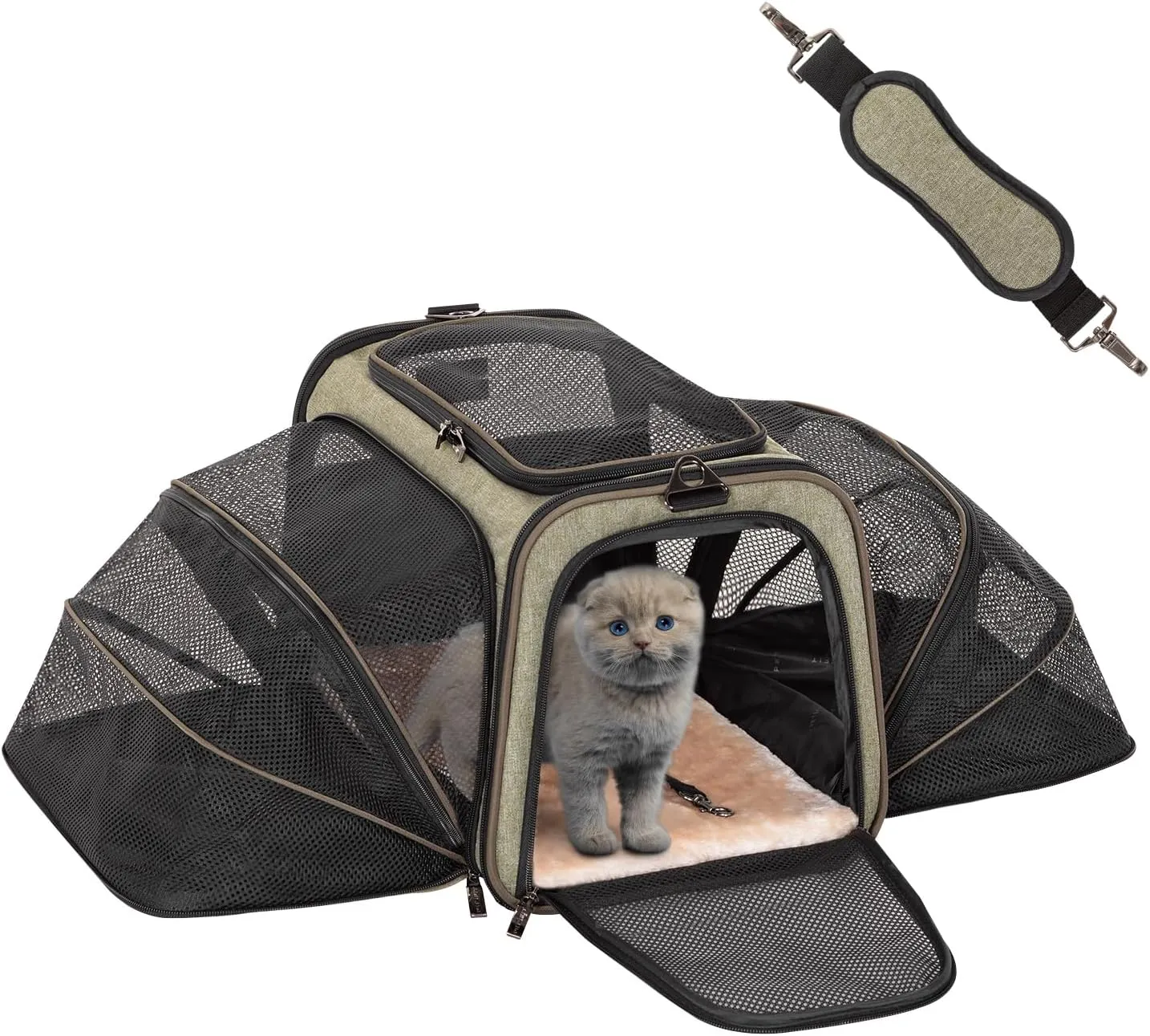 Airline Approved Cat Carrier Small Dog Carrier, Expandable Pet