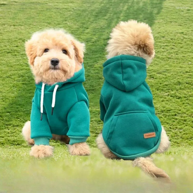 Hundkläder husdjurskläder hoodie tröja fleece små medelstora klädrock jacka sport utomhus tröja valp bichon neddy dräkt