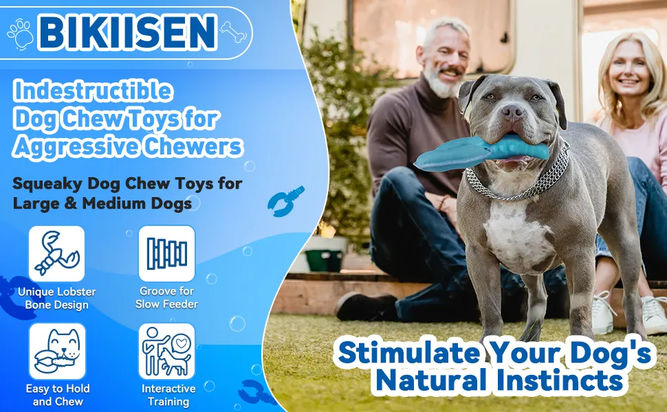 automatic cat feeder and water fountain Smart Feeder | Automatic Pet Feeder with Integrated Water Fountain
