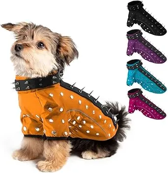 Spiked Dog Vest: Anti Coyote Protection for Small Dogs, Hawk Deterrent,  Premium Quality, Shop Now!