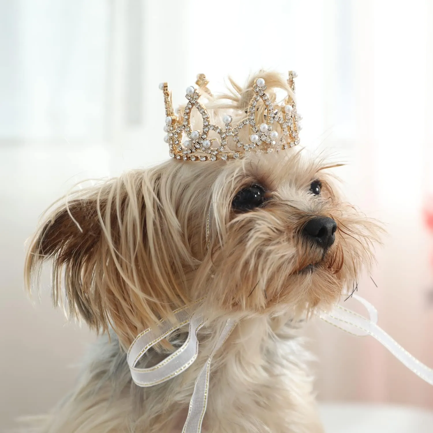Princess Costume Puppy Tiara Royal Pet Crown Sparkling Rhinestone