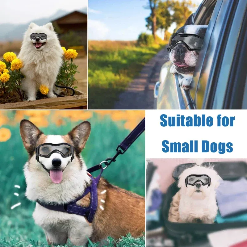 Lunettes de soleil Lunettes de soleil pour chiens de soleil Plevédages d'été réglables pour petits chiens moyens UV Protection des lunettes de compagnie Lunes de chiot confortables Supplies pour animaux de compagnie