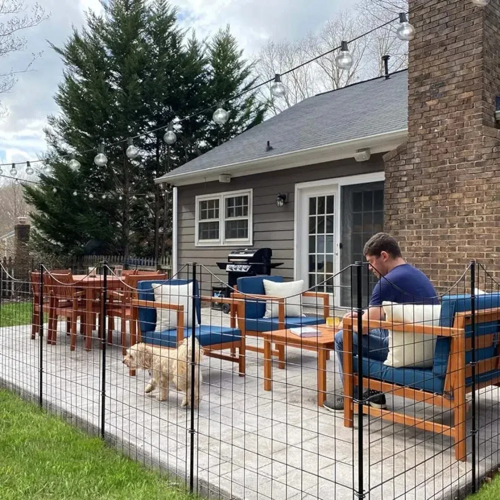Prodotti per esterni recinzione da giardino in metallo decorativo per animali domestici facili installazione di edifici per cantini per cani a casa 240411