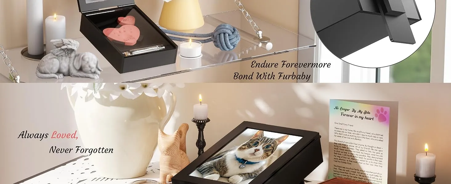 Pet Memorial Shadow Box with Paw Print Kit - Cherished Keepsake Frame ...