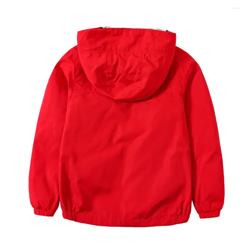 Vestes Plain Baby Boys Coats étanche coton coton rembourré des enfants à capuche Tenues zip enfants Spring d'été du printemps 3-14 ans