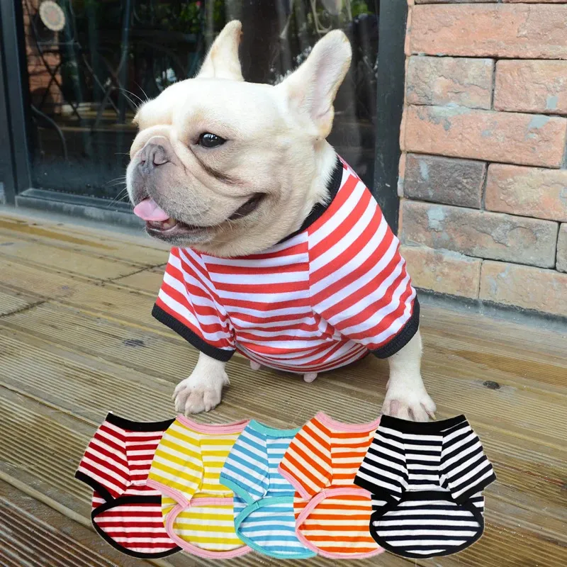 Stripe Stripe French Bulldog Shirt Vêtements de chien pour les petits chiens Summer Chihuahua Tshirt mignon Vente de compagnie de chiot Yorkie 240422