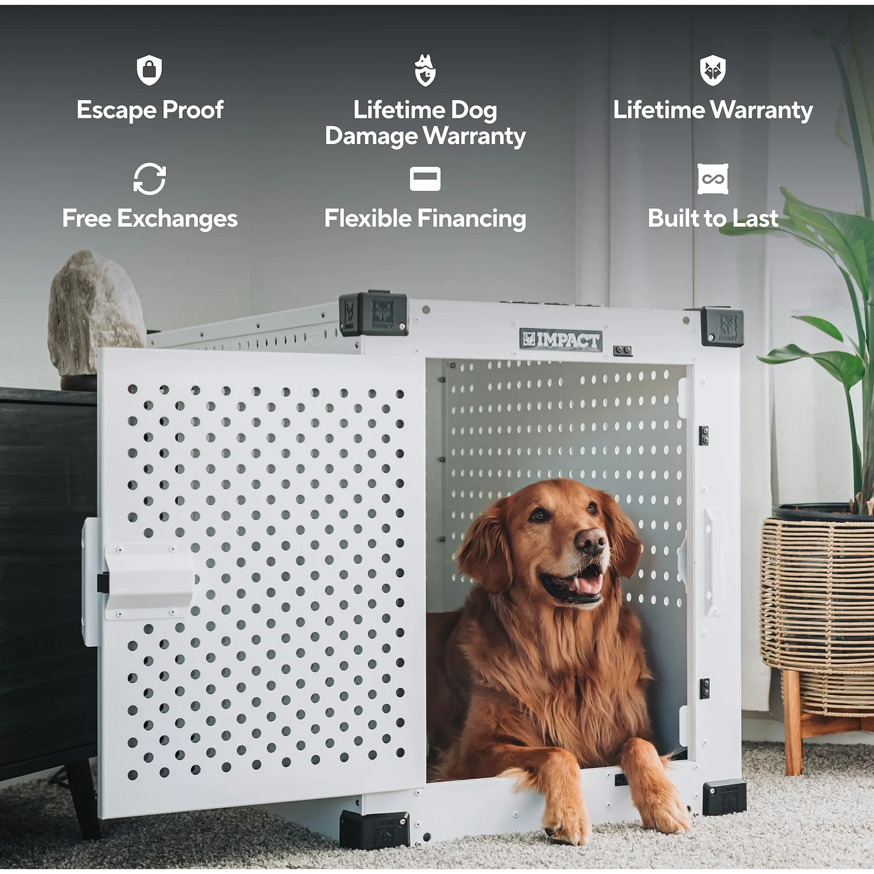 Escape Proof High Quality Dog Crates Wholesale 40 Inch Collapsible