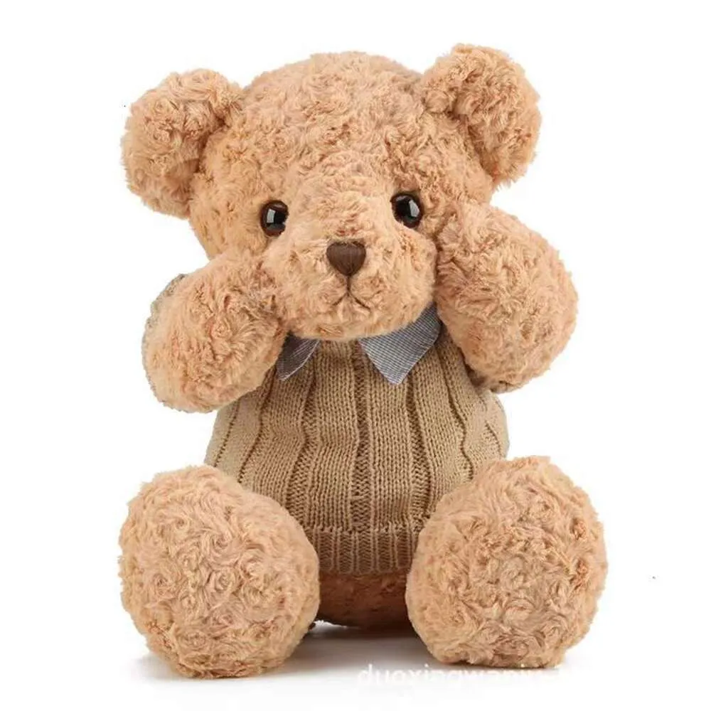 Custom Teddy Bear Plush Toy with Cloths