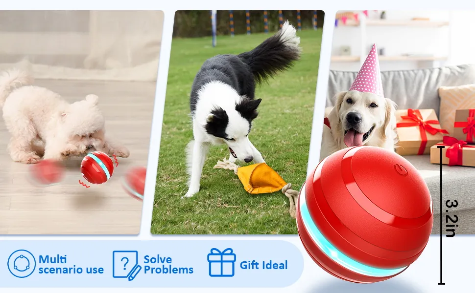 I Tested The Self Bouncing Ball For Dogs And It's A Gae-Changer For Active Pups - Here's Why