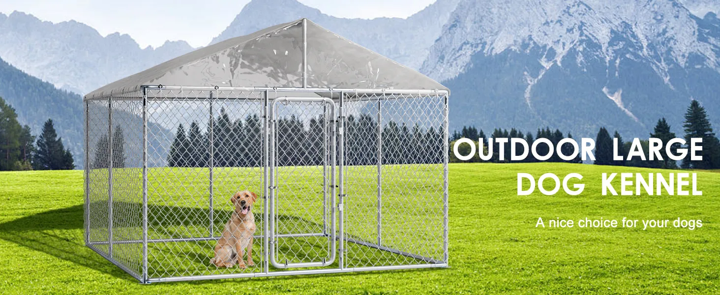 Amazon Large Outdoor Dog Pen With Roof Dog Pen With Top Exercise