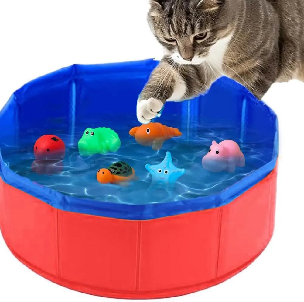 Pool Cat Pool Store Interactive Cat Pool Toy Set: Water Fun for Bored Indoor Cats! Shop Now ...