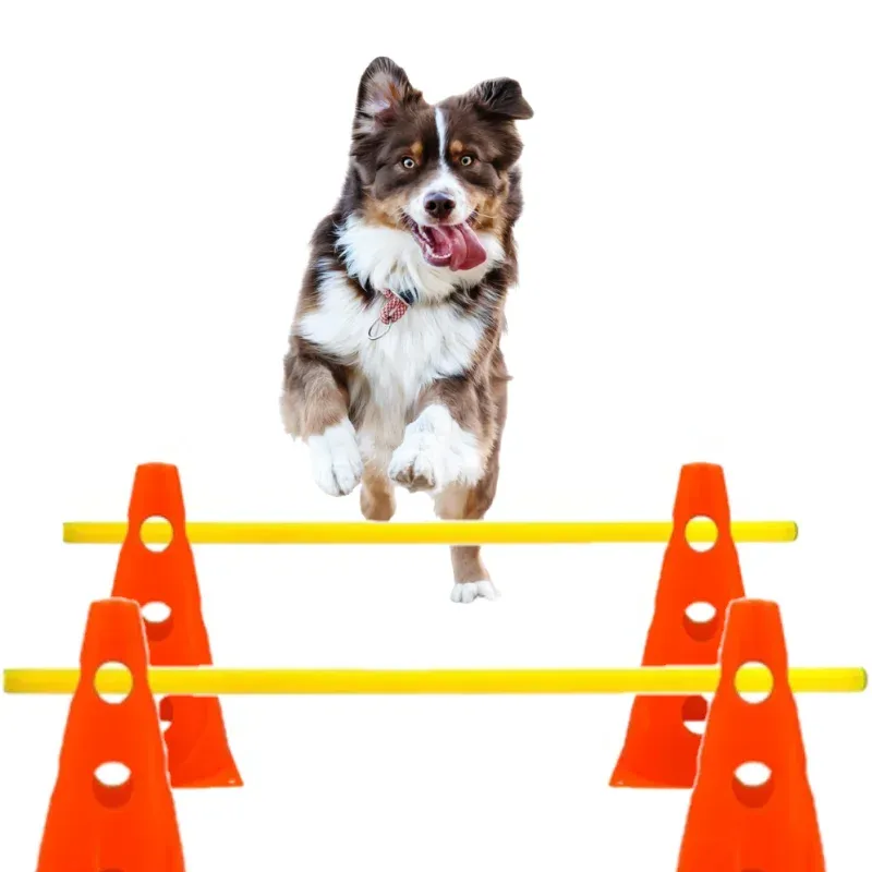 Stakes Pet Agility Training Set Jumping Bar Dog Hinder Training Equipment Equipment Hurdle Training Dog Training Device Pet Supplies