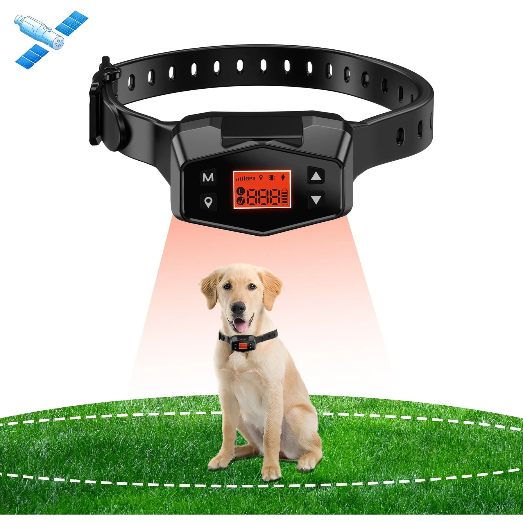chewy gps tracker