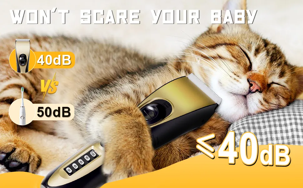 Can You Groom a Cat With Dog Clippers? Expert Tips Revealed