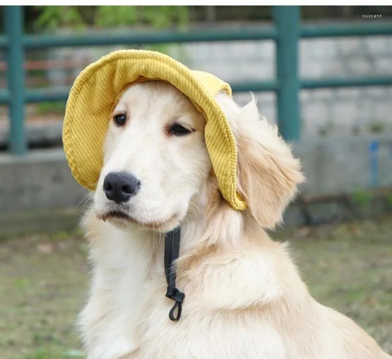 Appareils pour chiens Bordeau Border Collie Samoyed Husky Labrador Golden Retriever Big Caps Sunhat Outdoor Pet Products