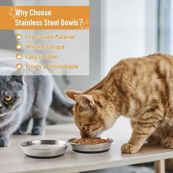 thumbnail image 2 of Shallow Design Cat Feeders 12-Pack Stainless Steel - Whisker-Friendly Shallow Dishes, Stackable Pet Food Bowls Cat Bowls 2 of 11