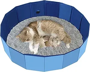 Foldable Cat Birthing Box & Whelping Pool: Washable Litter Box For Easy ...