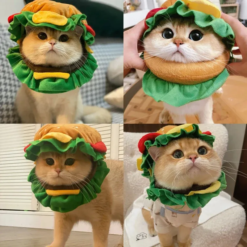 Aksesuarlar kedi kurtarma yaka evcil hayvan konisi yumuşak yumuşak sevimli elizabethan yaka kediler için küçük köpekler hamburger şekil kostüm şapka