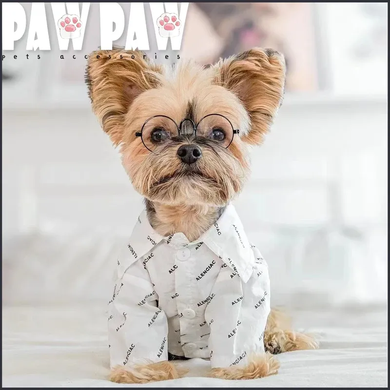 Vestes Pawpaw Summer Fashion Dog Clothes Chiens de chien Puppy Élégant TRENDY COOL DESIGN MALTESSE YORKSHIRE POMERANIAN BICHON SCHNAUZER