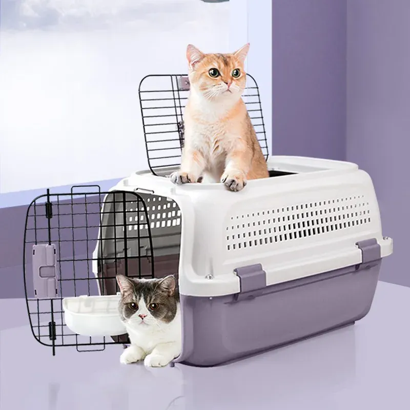 Hard Surface Pet Air Transport Box For Small Dogs And Cat Litter Boxes