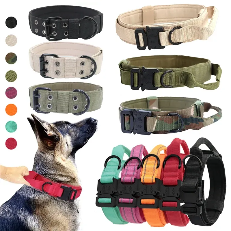 Collari arrotolati martingale nylon cane collare guinzaglio set resistente riflettente per pet regolabile cucciolo collare cucciolo di guinzaglio di grandi dimensioni accessori per cani