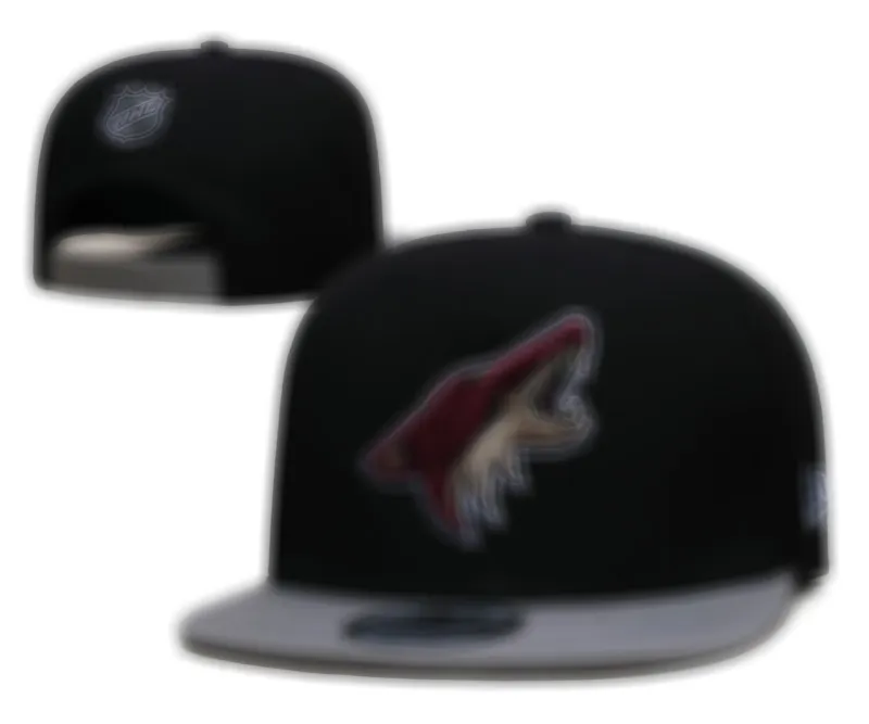 Neueste montierte Hüte Schnappbacks Ball Designer Fit Hut Stickerei Verstellbare Baseball -Baumwollkappen All Team Logo Outdoor Sport Hip Hop geschlossene Mesh Sonne