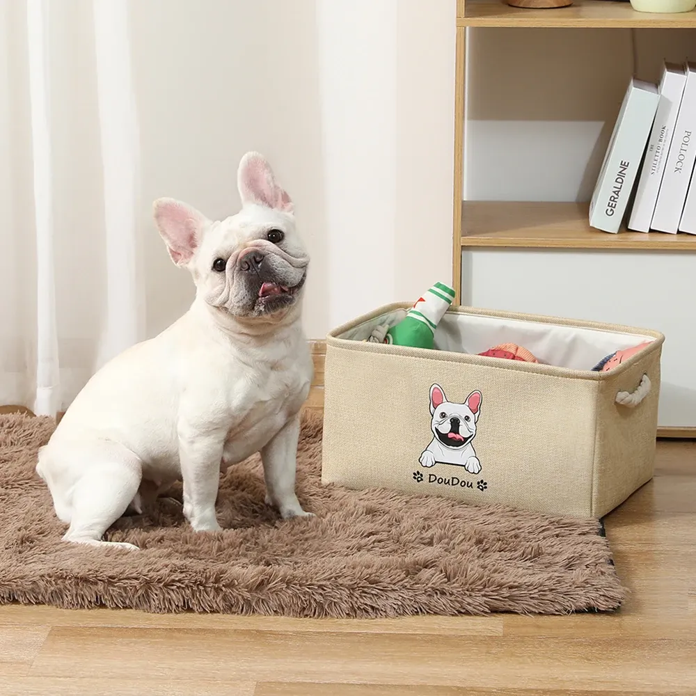 Personalized dog toys online