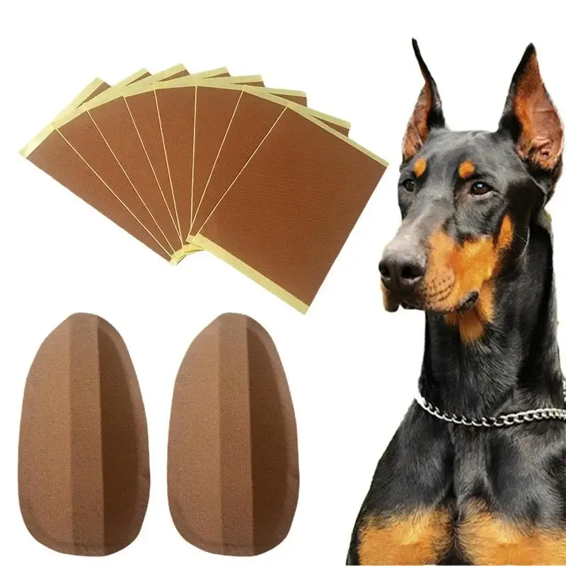 Accessoires Hondenoorpost Kit vaste oor opstaan voor honden Pet Dog oor Fixed Support Up Correctie Verticale standaard voor Doberman Dog ouder dan 2