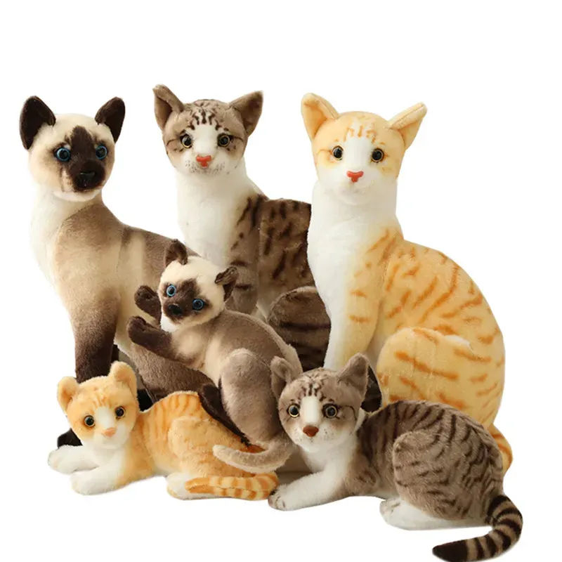 Toys Simulation Pillow American Shorthai Siamese Cat Plushstuffed Lifelike Doll Animal Pet Toys For Children Home Decor Baby Cadeau