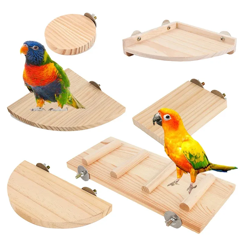 Toys Square Pet Bird Parrot Wood Plataforma Stand Rack Hamster Branches Polas para Birds Cage Toys 15 Tamanhos Rodada