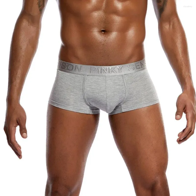 Men de sous-pants Men Sexy Underwear Lettre Boxer Boître Boîte de culotte confortable Breets Bulg