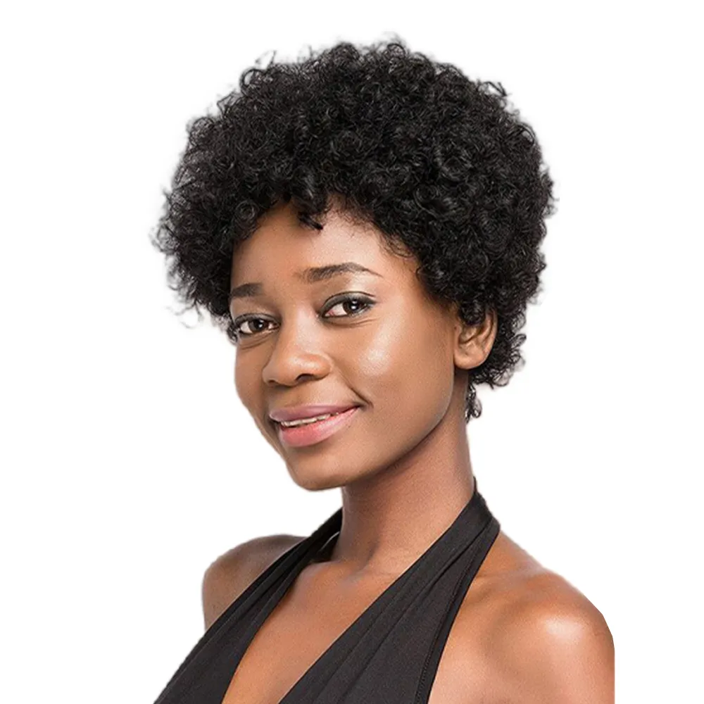 Краткие афро вьющиеся парики для чернокожих женщин странно вьющиеся парики натуральный бразильский парик парики афроамериканский парики афроамериканский парики