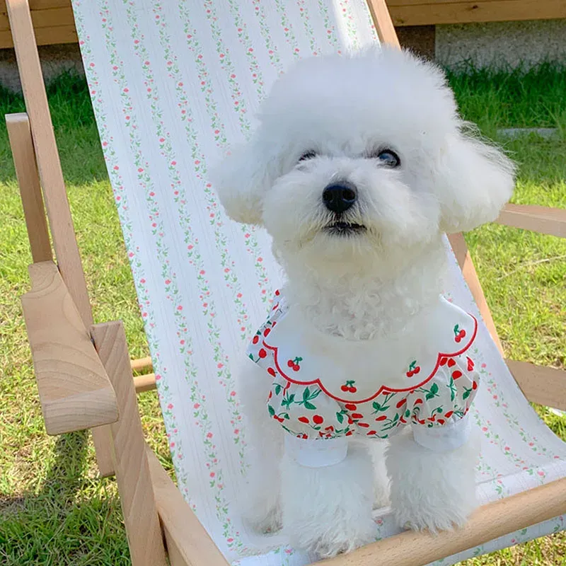 Kleider Lotus Blattkragen Welpe Kleid Sommer Haustier Teddy Hosentender Rock als Bär Obst Kleidung Pommerianische kühle Kleidung dünne Hund Kleidung