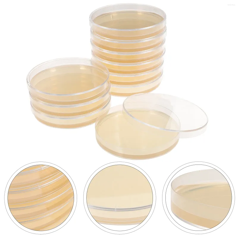 PCS PLACA DE AGAR NUTRIENTES Laboratorio de hongos Suministros de laboratorio de Petri Platos Platos Cultivos de tejidos