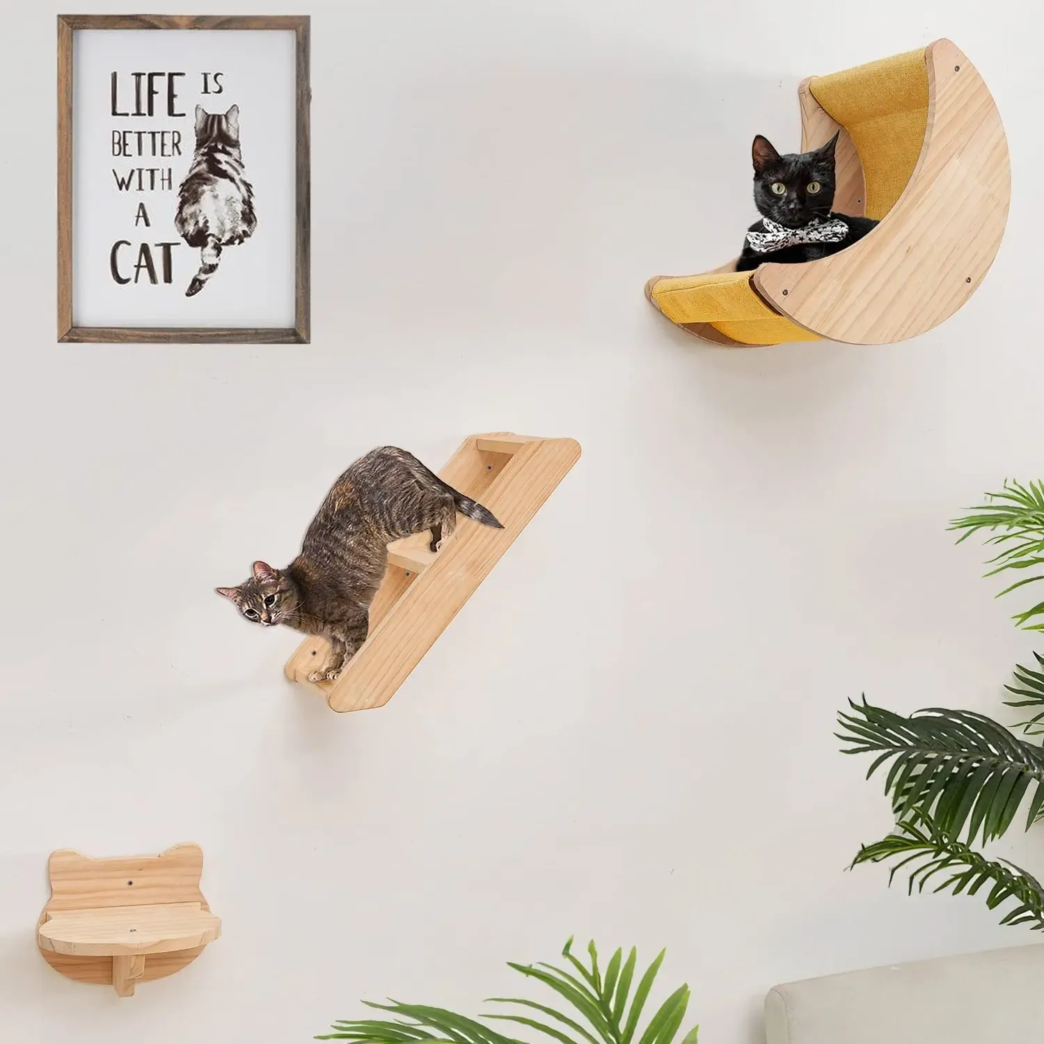 SCRACKERS 1PCWALLmountned Cat Hammock Wood Meubles d'animaux de compagnie étagères murales chat arbre Pet Wall Moucle Climber Cat Activity Villa House