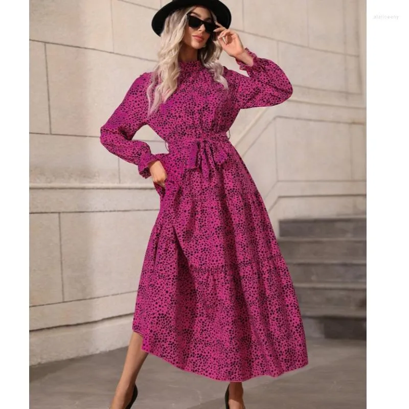 Casual Dresses Dress Young Leopard Print Long-Sleeve